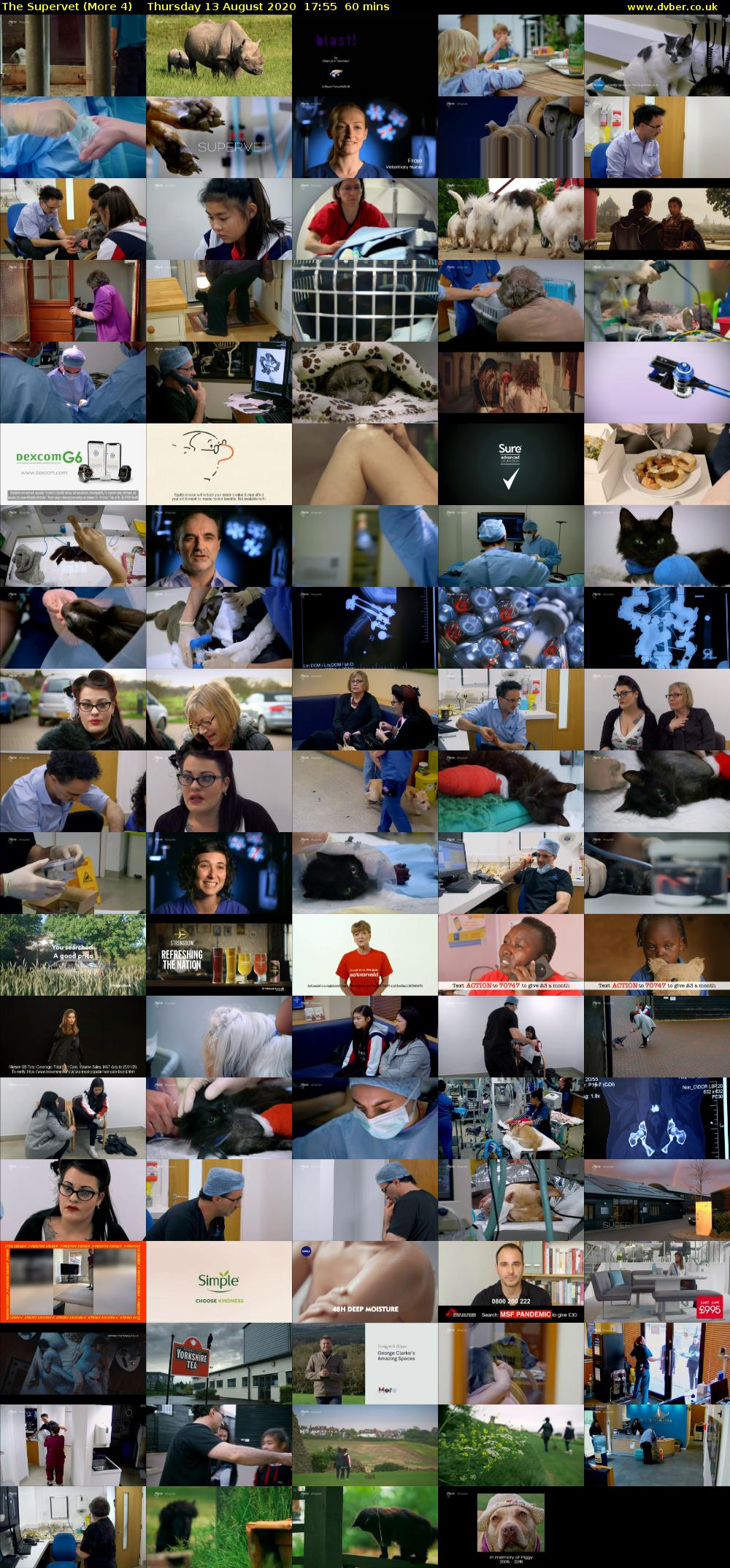 The Supervet (More 4) Thursday 13 August 2020 17:55 - 18:55