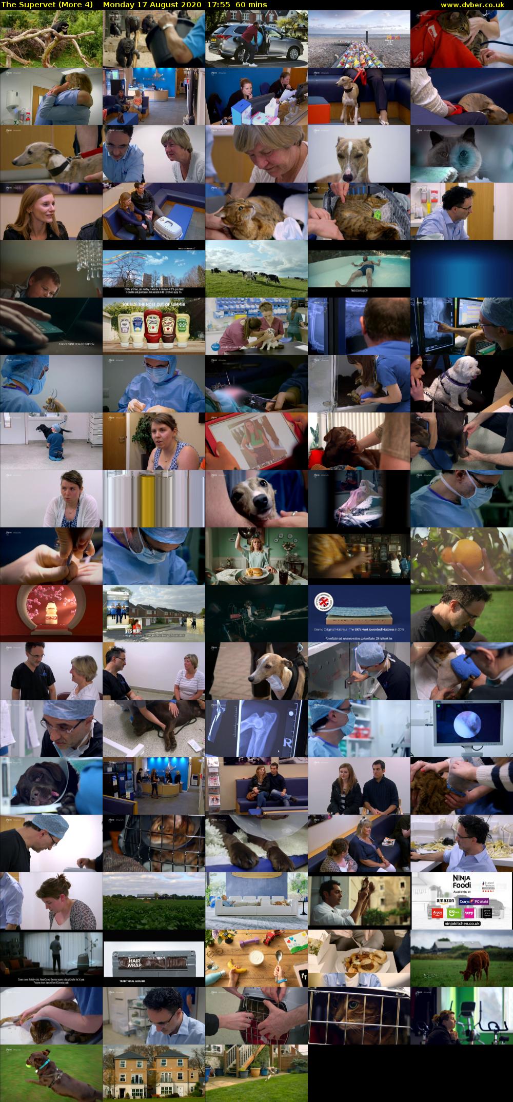 The Supervet (More 4) Monday 17 August 2020 17:55 - 18:55