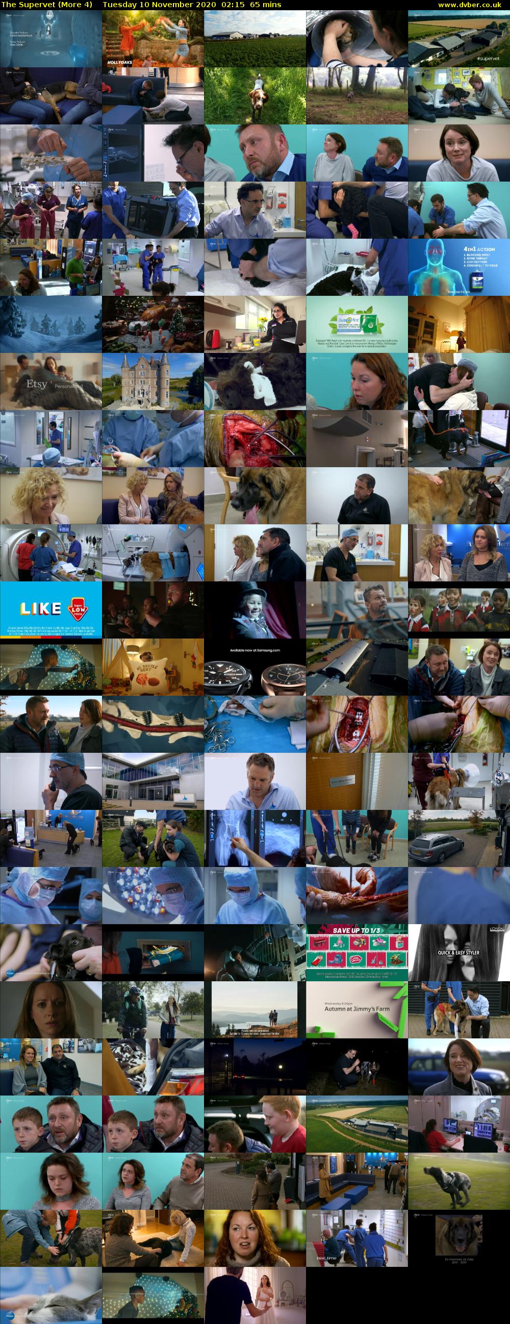 The Supervet (More 4) Tuesday 10 November 2020 02:15 - 03:20
