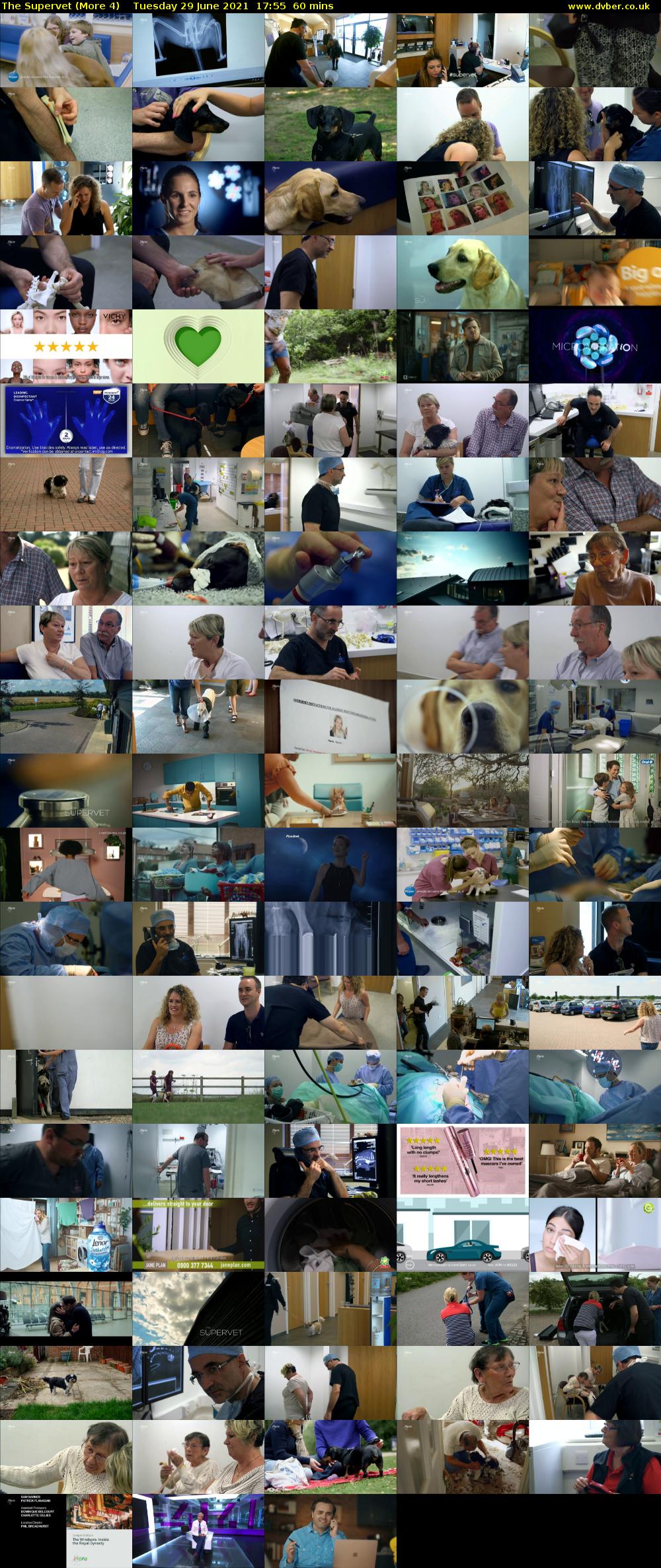 The Supervet (More 4) Tuesday 29 June 2021 17:55 - 18:55