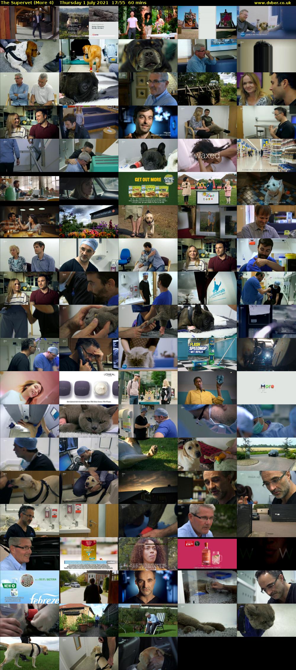 The Supervet (More 4) Thursday 1 July 2021 17:55 - 18:55