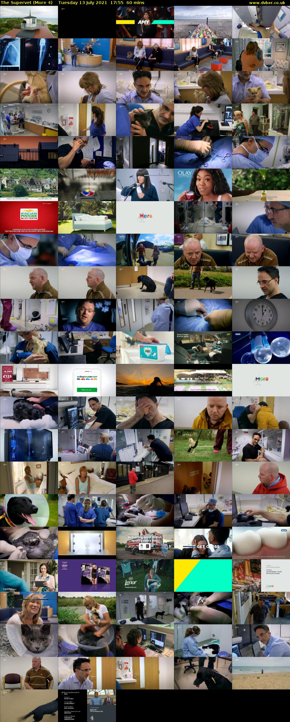 The Supervet (More 4) Tuesday 13 July 2021 17:55 - 18:55