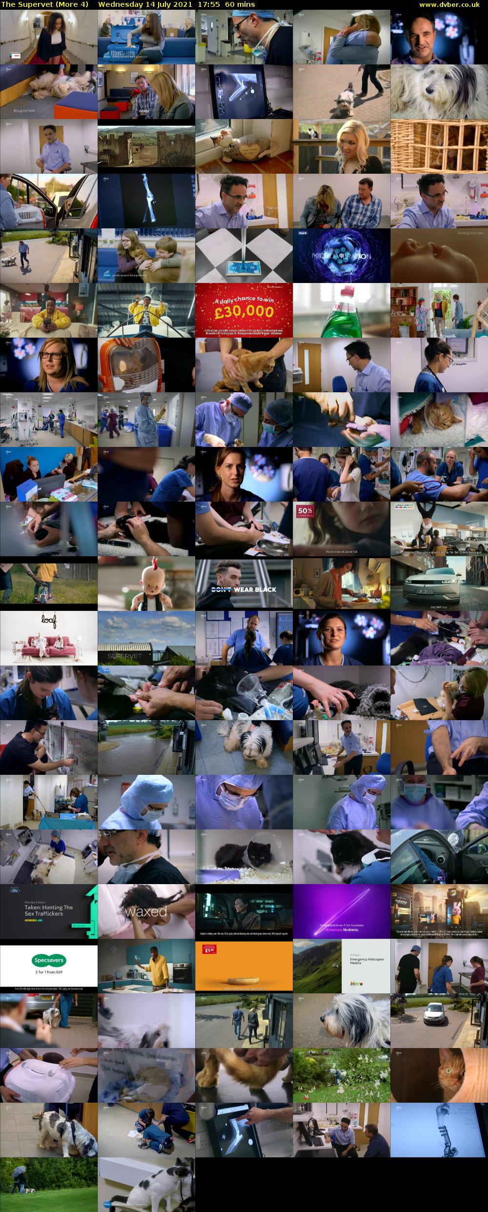 The Supervet (More 4) Wednesday 14 July 2021 17:55 - 18:55