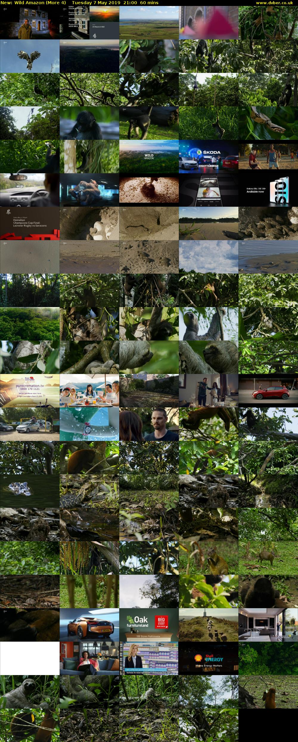Wild Amazon (More 4) Tuesday 7 May 2019 21:00 - 22:00