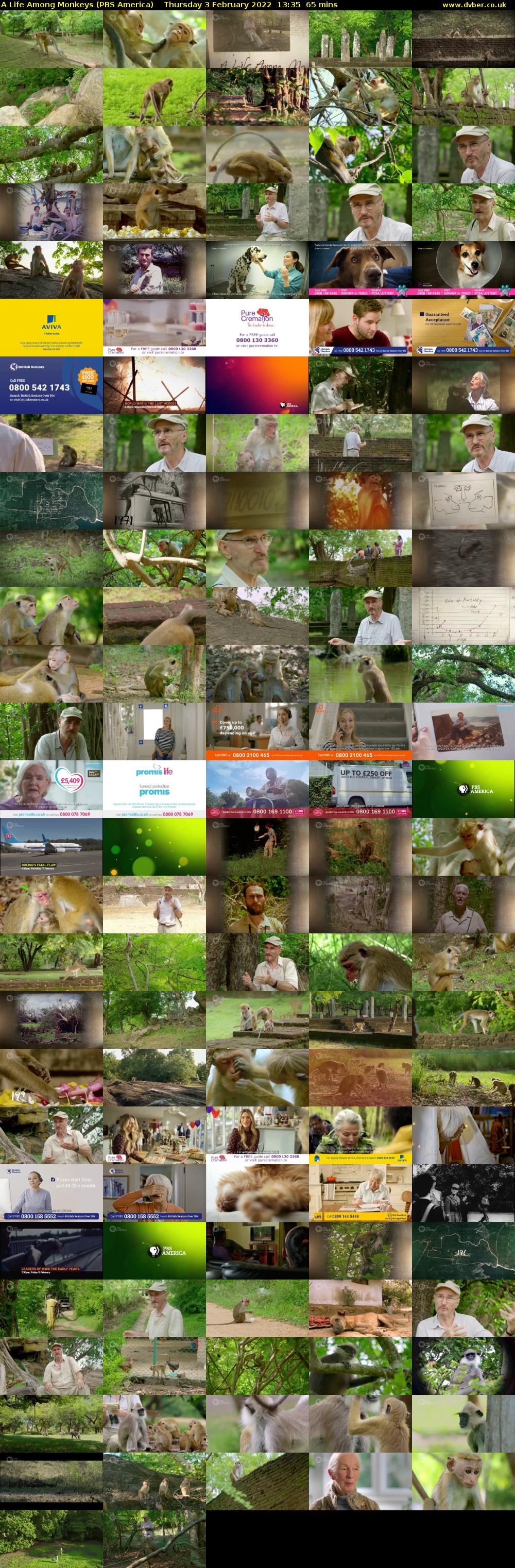 A Life Among Monkeys (PBS America) Thursday 3 February 2022 13:35 - 14:40