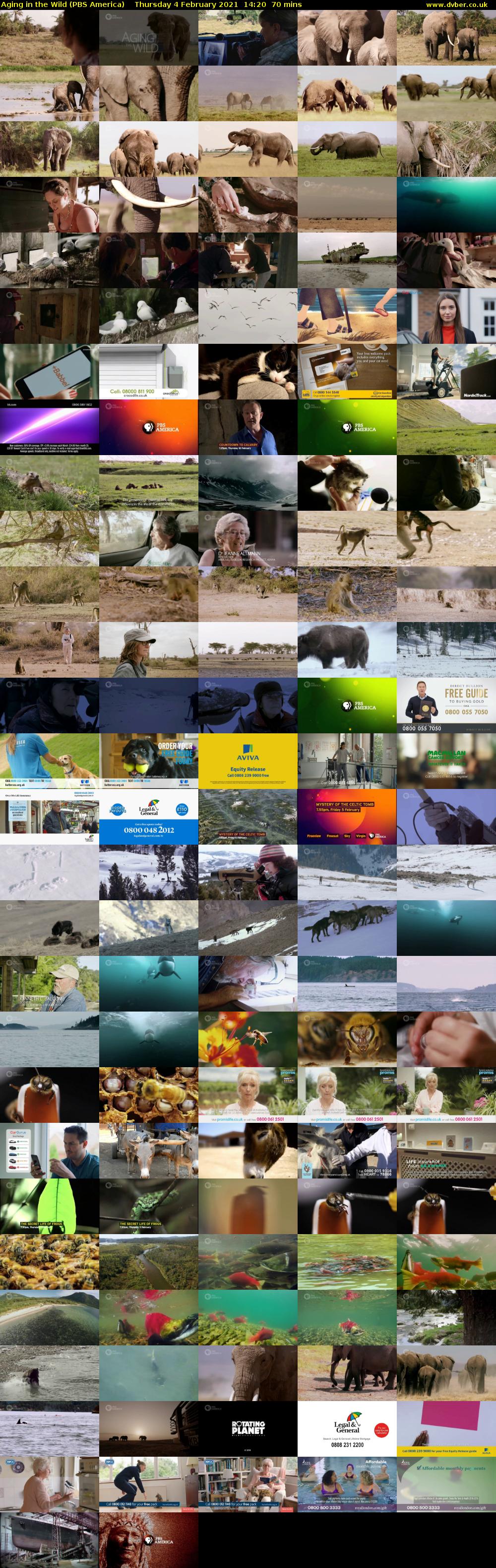 Aging in the Wild (PBS America) Thursday 4 February 2021 14:20 - 15:30