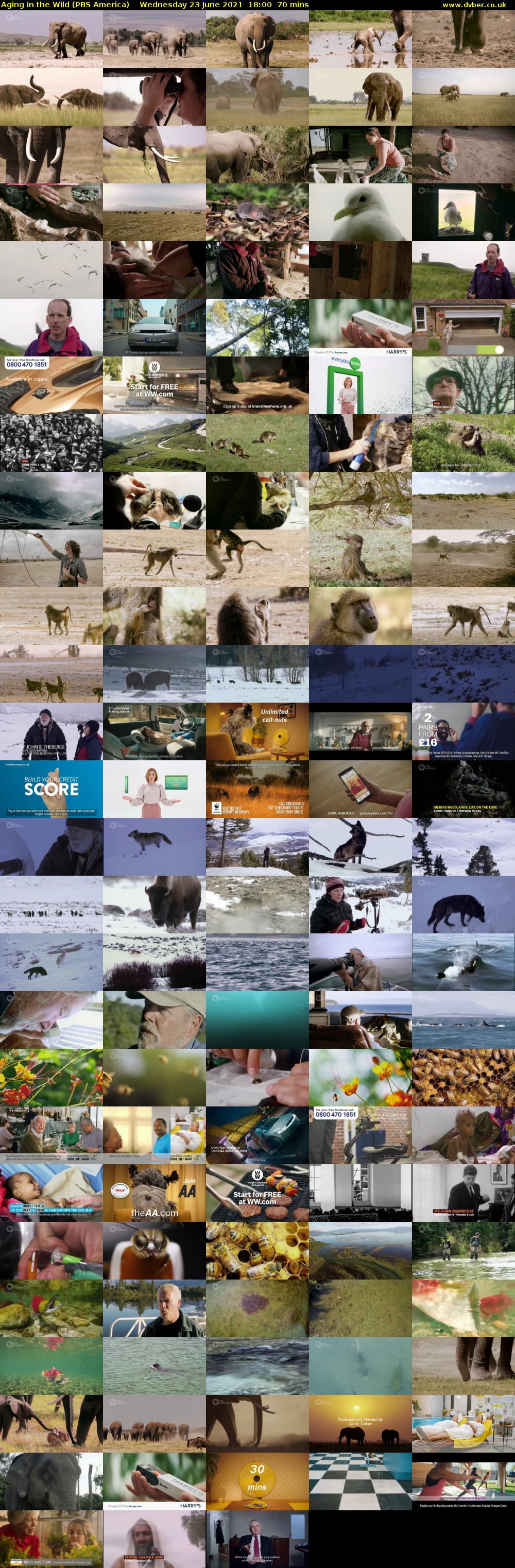 Aging in the Wild (PBS America) Wednesday 23 June 2021 18:00 - 19:10