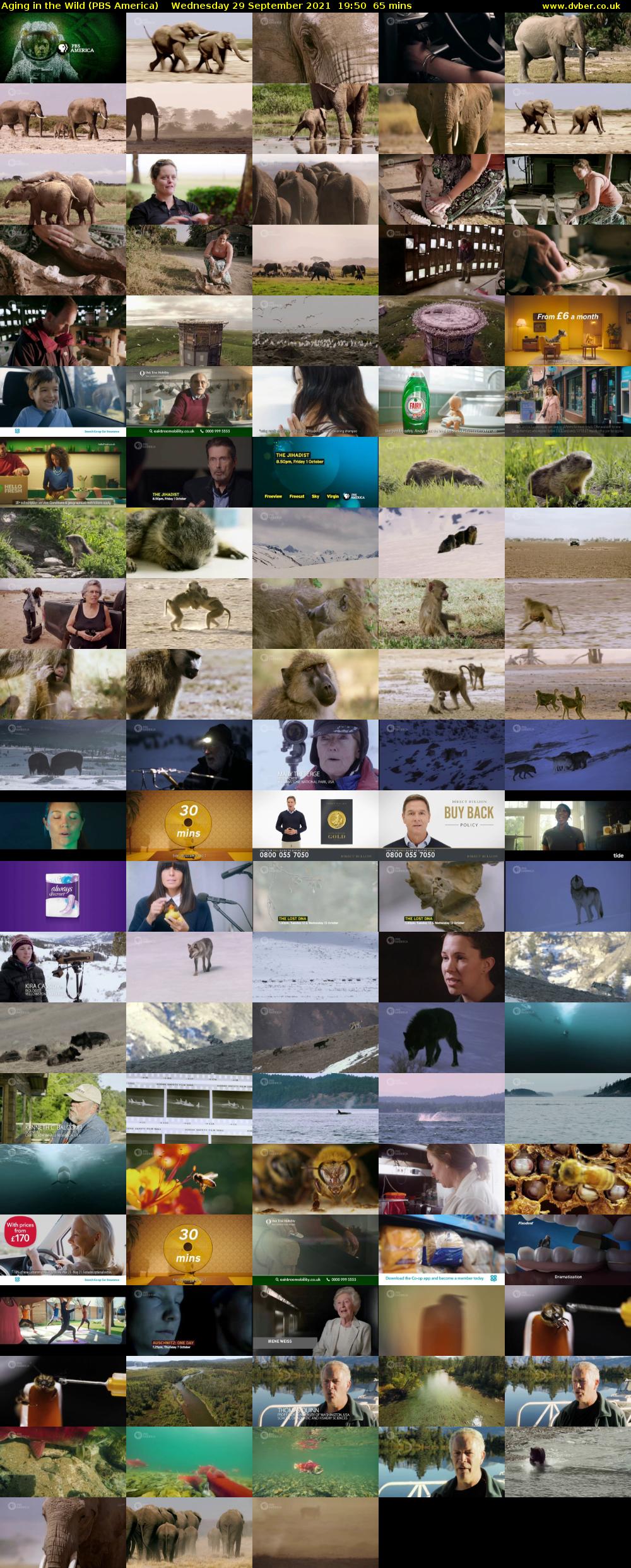 Aging in the Wild (PBS America) Wednesday 29 September 2021 19:50 - 20:55