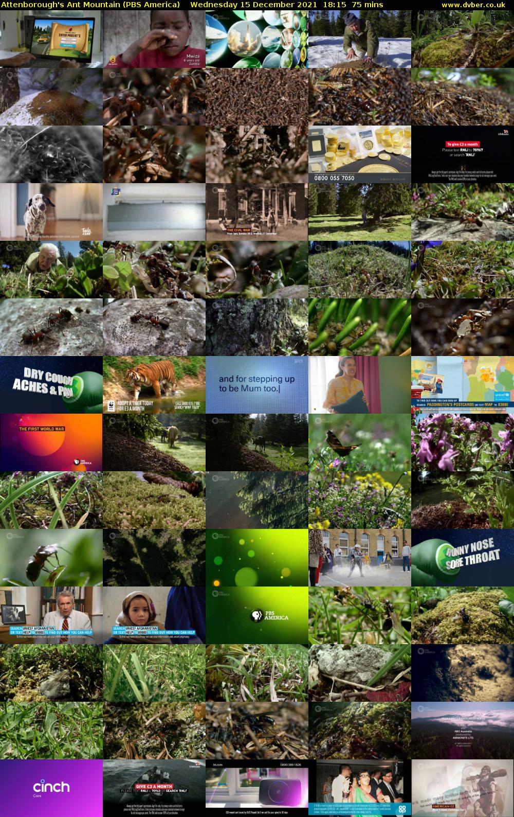 Attenborough's Ant Mountain (PBS America) Wednesday 15 December 2021 18:15 - 19:30