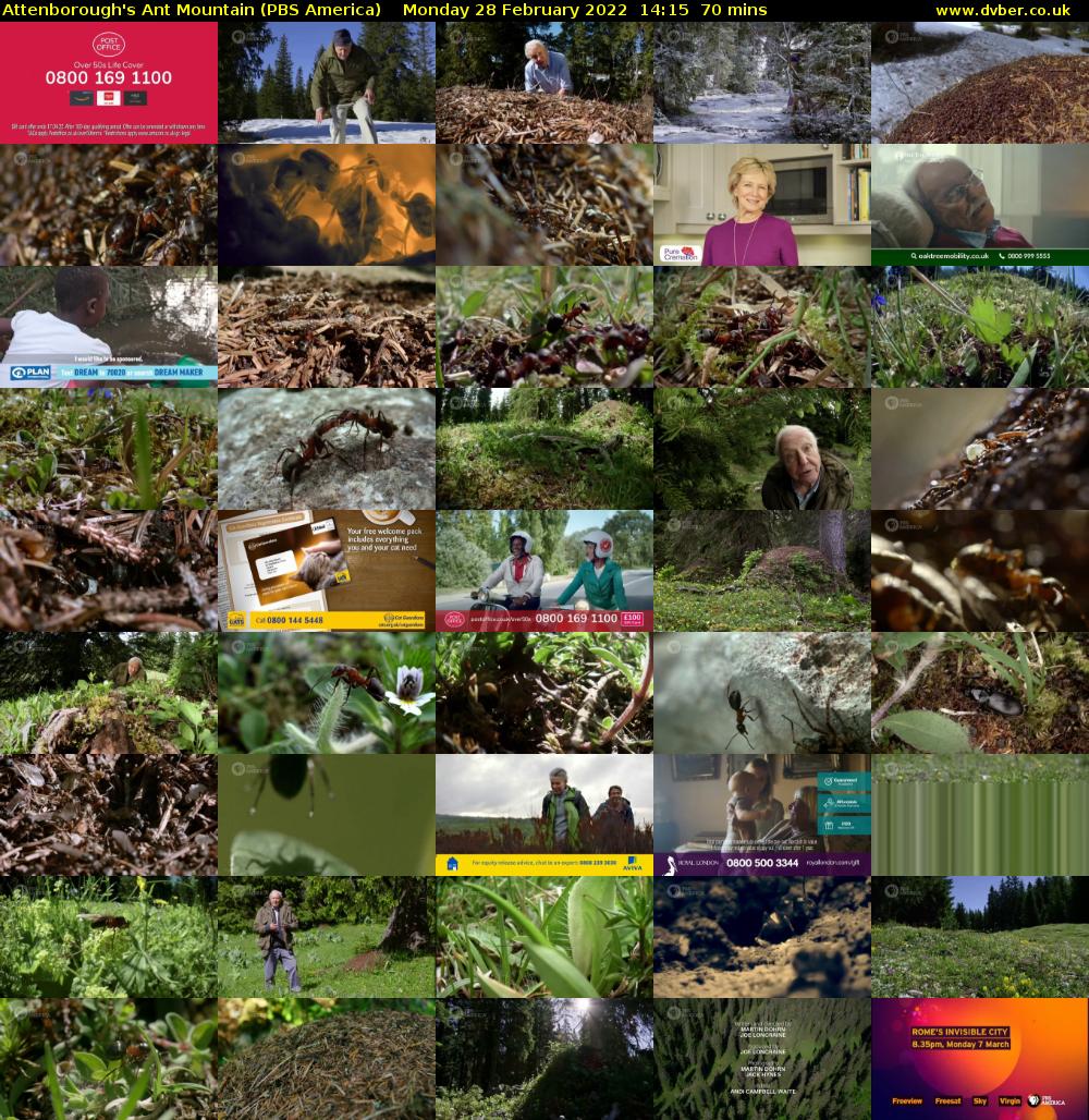 Attenborough's Ant Mountain (PBS America) Monday 28 February 2022 14:15 - 15:25