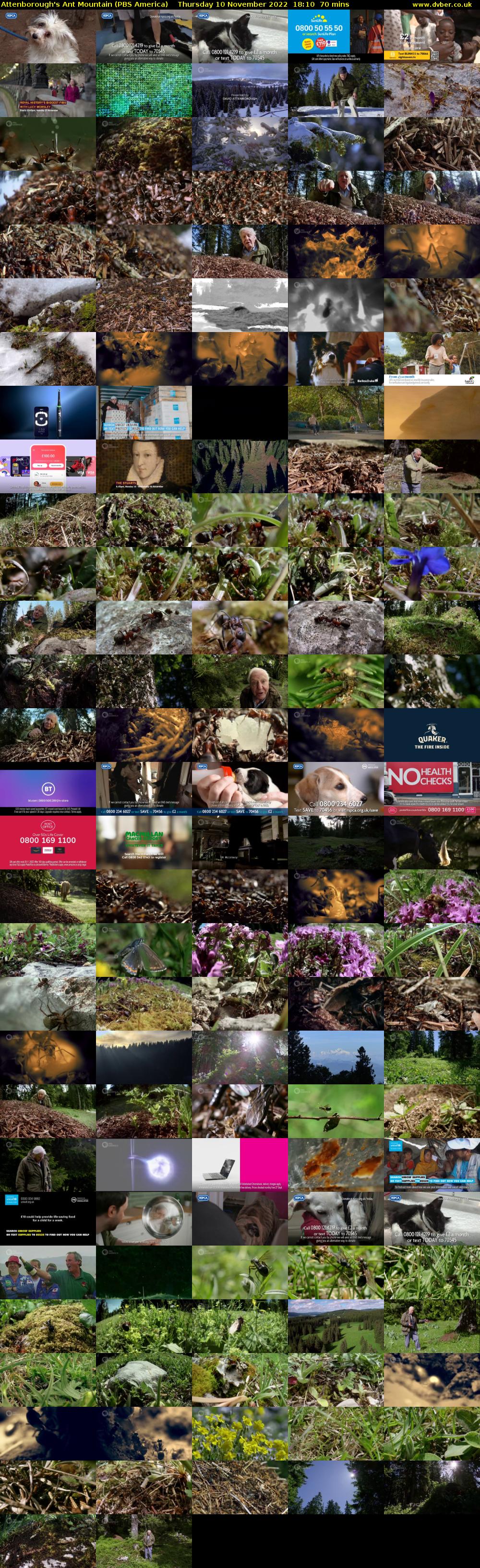 Attenborough's Ant Mountain (PBS America) Thursday 10 November 2022 18:10 - 19:20