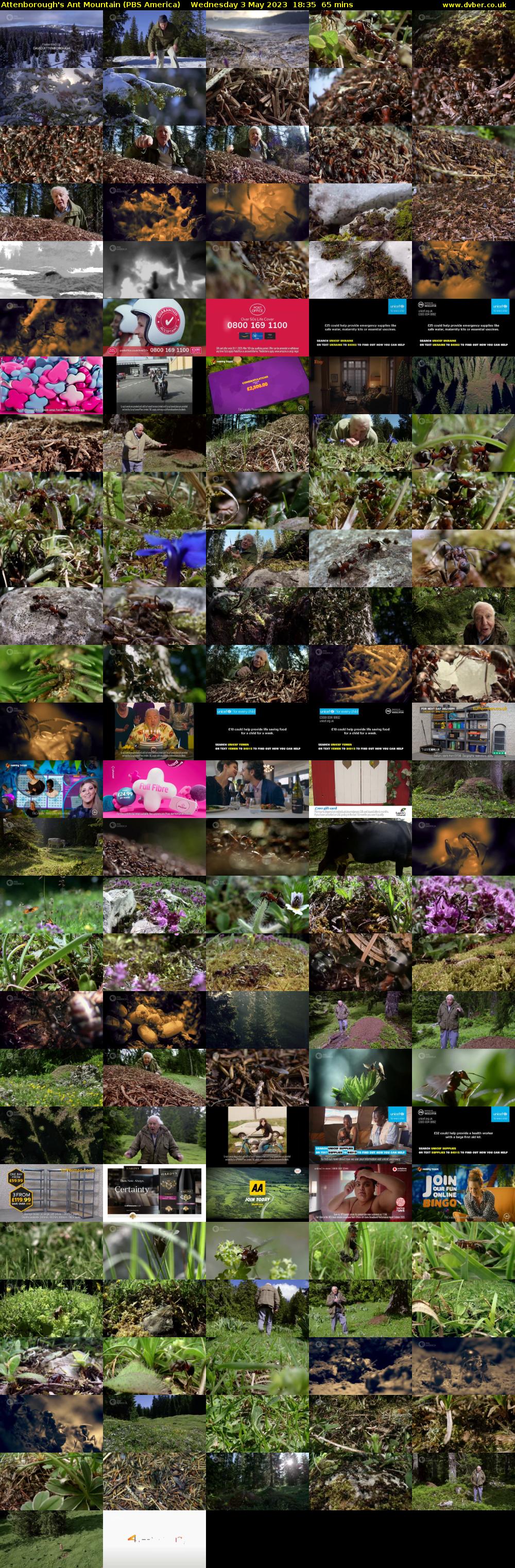 Attenborough's Ant Mountain (PBS America) Wednesday 3 May 2023 18:35 - 19:40
