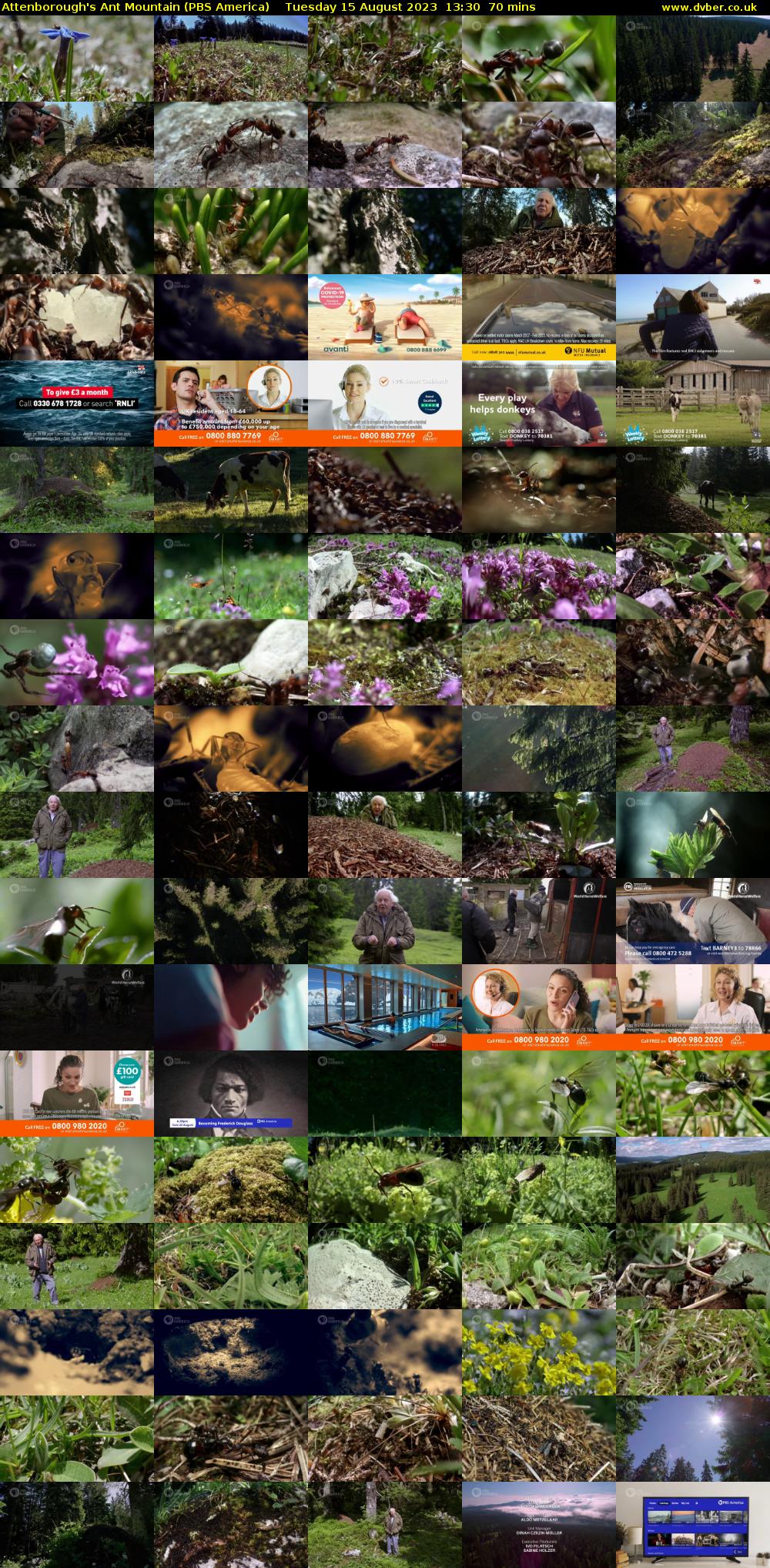 Attenborough's Ant Mountain (PBS America) Tuesday 15 August 2023 13:30 - 14:40