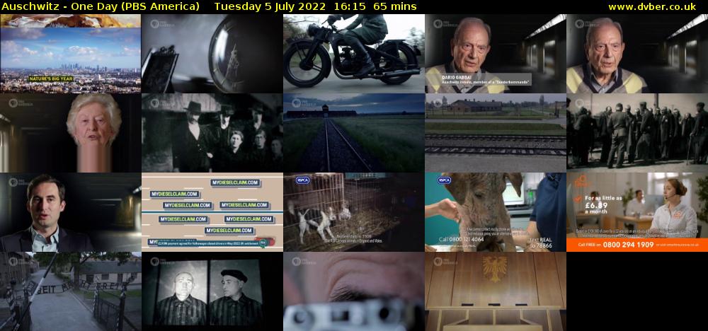 Auschwitz - One Day (PBS America) Tuesday 5 July 2022 16:15 - 17:20