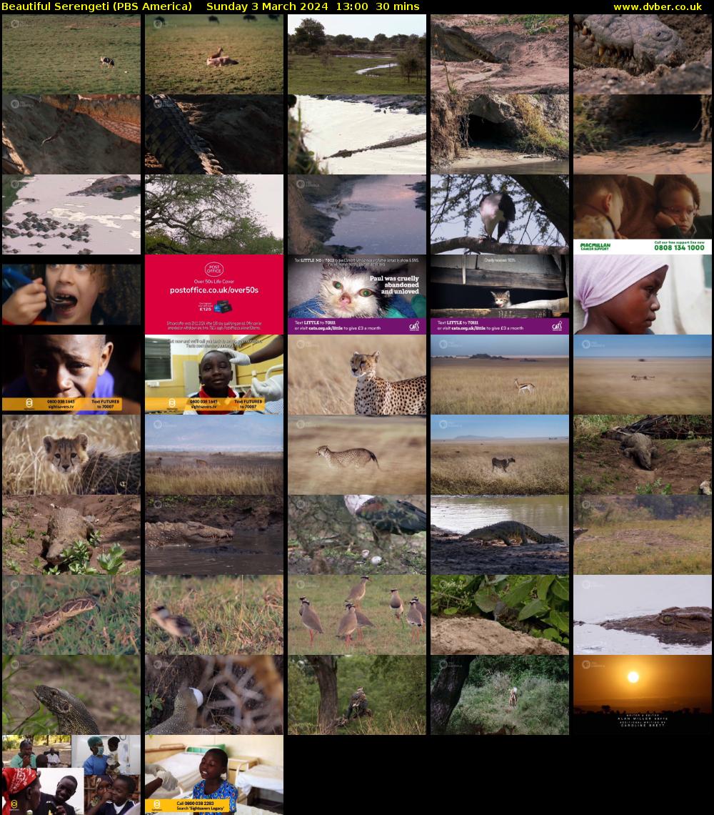Beautiful Serengeti (PBS America) Sunday 3 March 2024 13:00 - 13:30