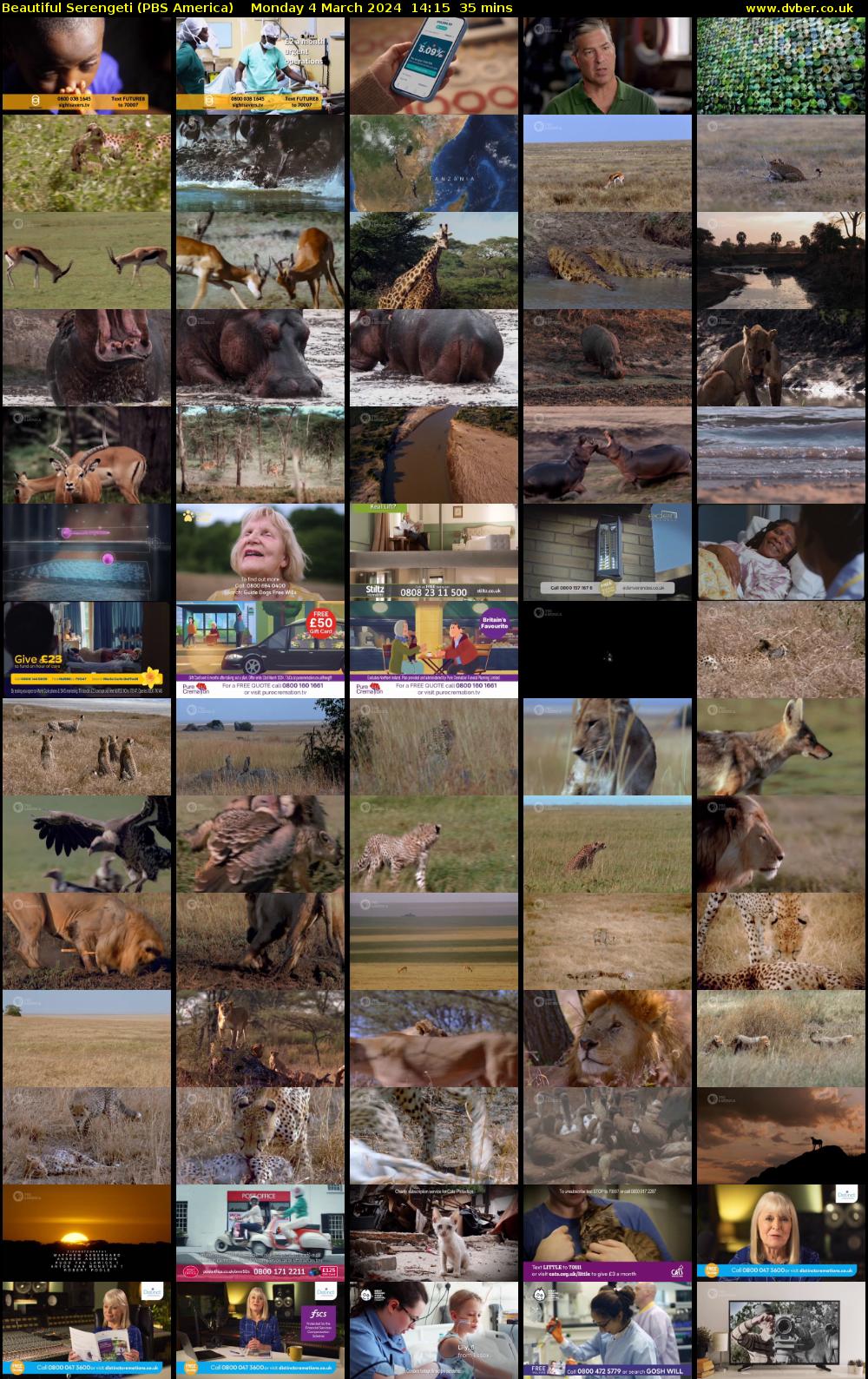 Beautiful Serengeti (PBS America) Monday 4 March 2024 14:15 - 14:50