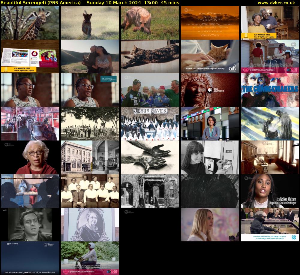 Beautiful Serengeti (PBS America) Sunday 10 March 2024 13:00 - 13:45