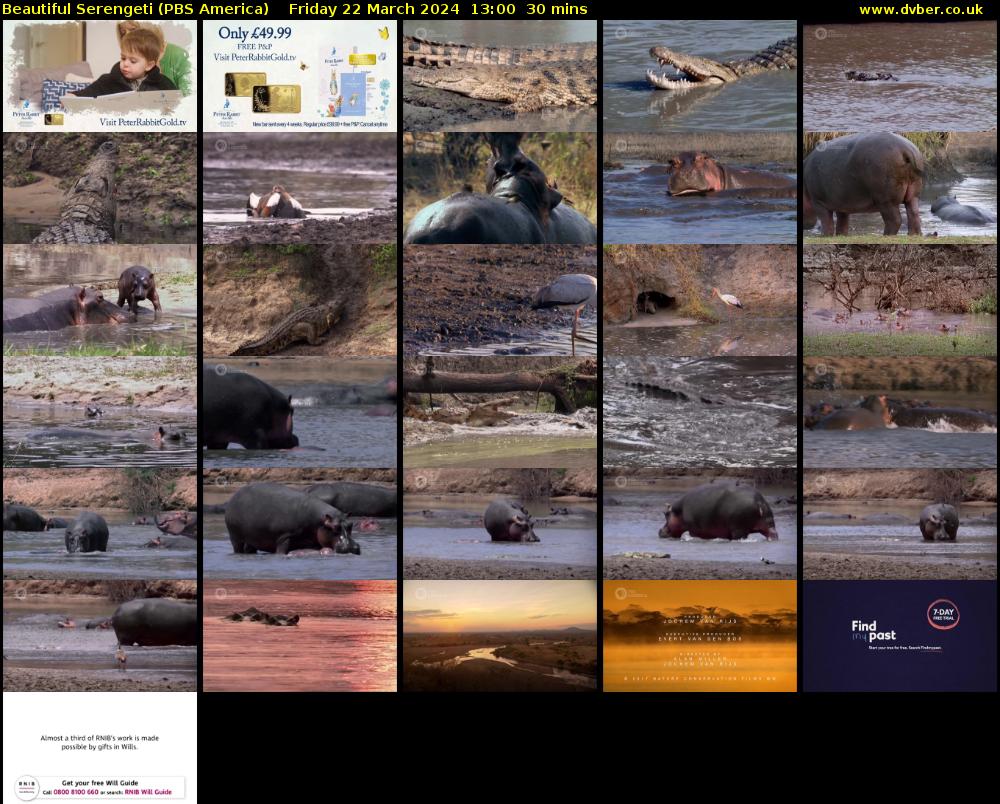 Beautiful Serengeti (PBS America) Friday 22 March 2024 13:00 - 13:30