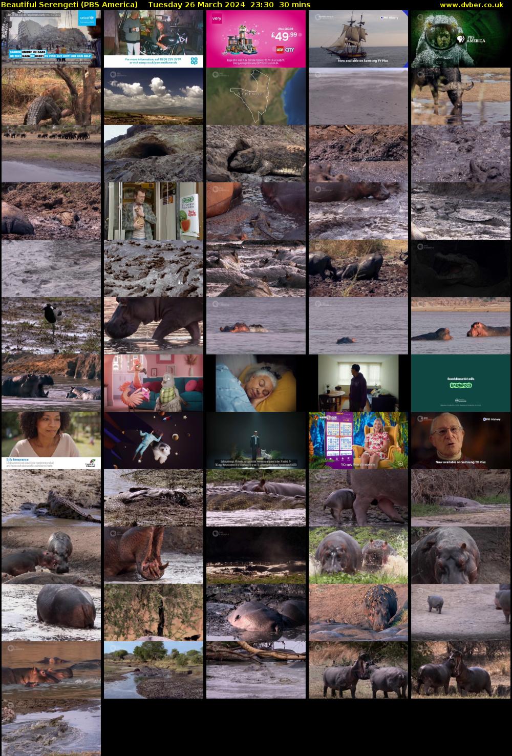 Beautiful Serengeti (PBS America) Tuesday 26 March 2024 23:30 - 00:00
