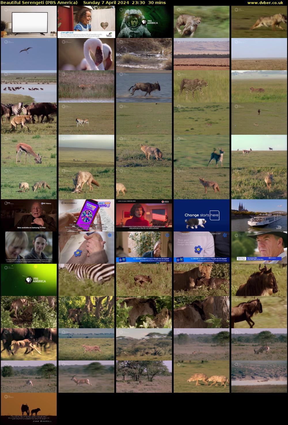 Beautiful Serengeti (PBS America) Sunday 7 April 2024 23:30 - 00:00