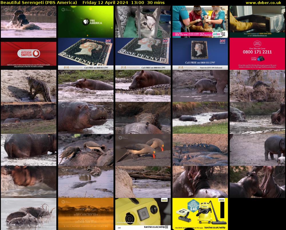 Beautiful Serengeti (PBS America) Friday 12 April 2024 13:00 - 13:30