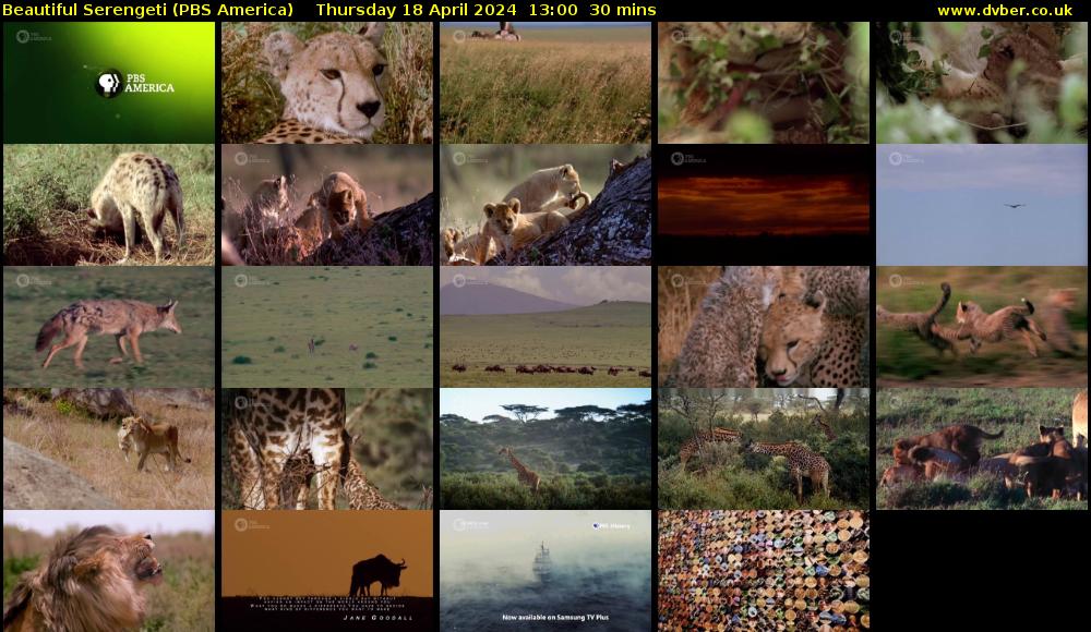 Beautiful Serengeti (PBS America) Thursday 18 April 2024 13:00 - 13:30