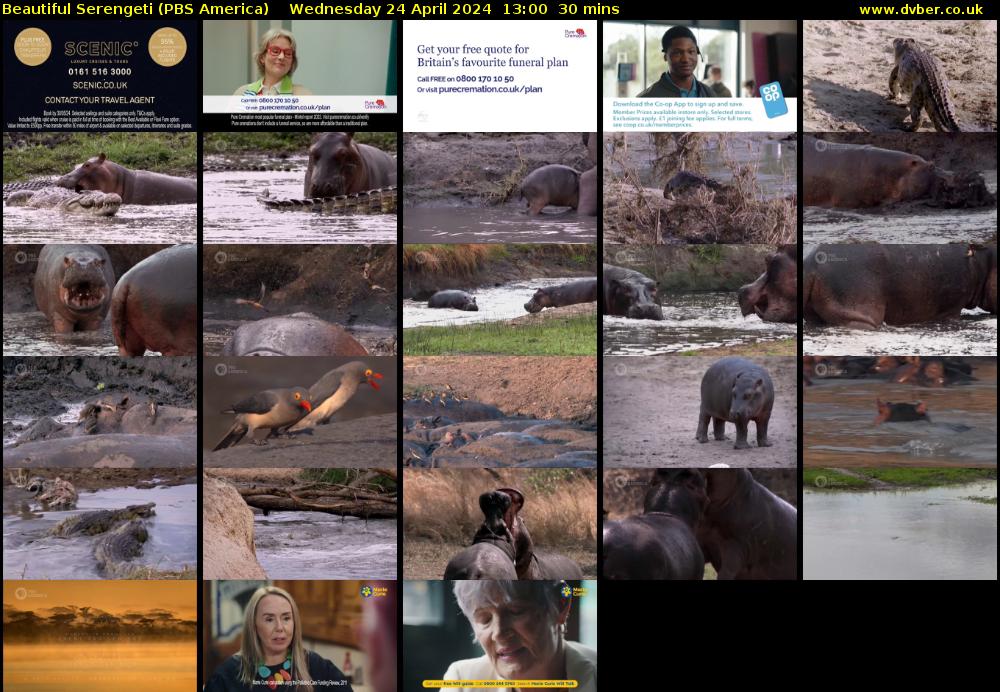 Beautiful Serengeti (PBS America) Wednesday 24 April 2024 13:00 - 13:30