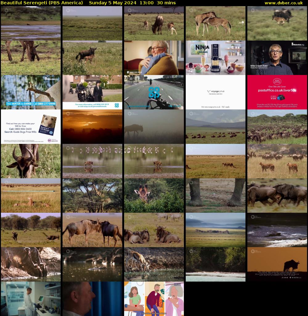Beautiful Serengeti (PBS America) Sunday 5 May 2024 13:00 - 13:30