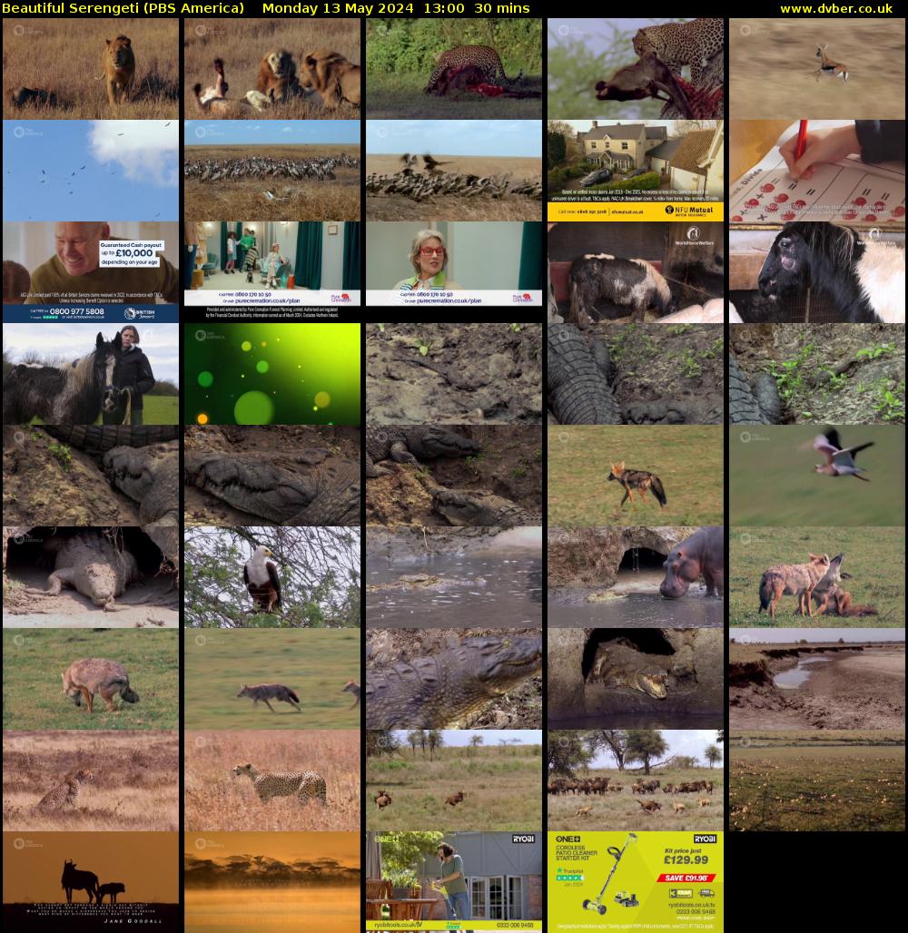 Beautiful Serengeti (PBS America) Monday 13 May 2024 13:00 - 13:30