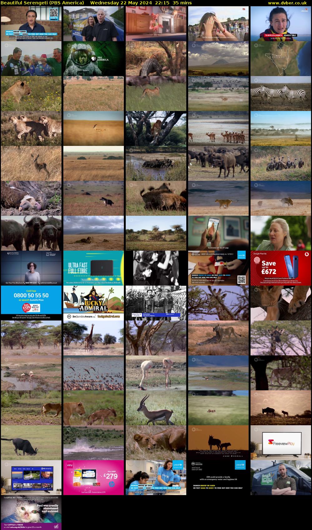 Beautiful Serengeti (PBS America) Wednesday 22 May 2024 22:15 - 22:50