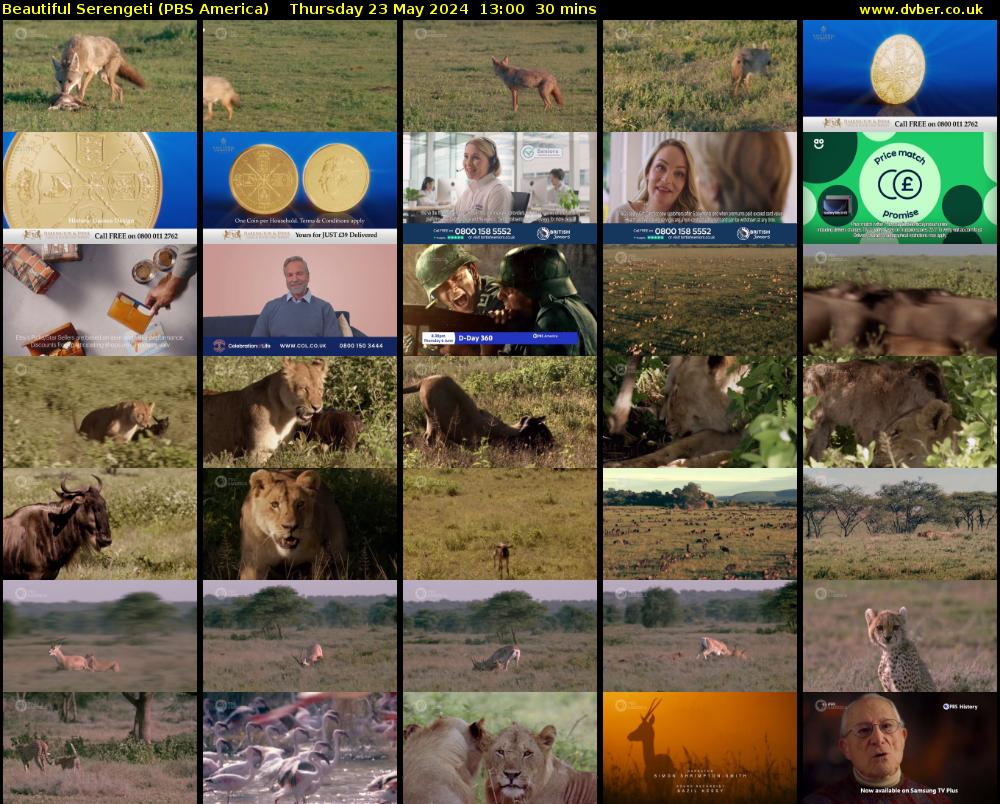 Beautiful Serengeti (PBS America) Thursday 23 May 2024 13:00 - 13:30