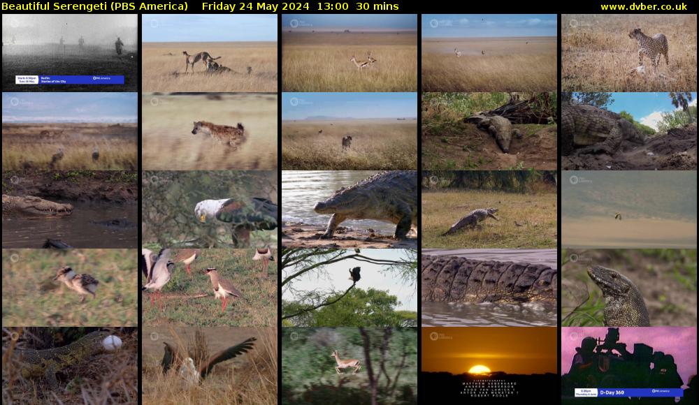 Beautiful Serengeti (PBS America) Friday 24 May 2024 13:00 - 13:30