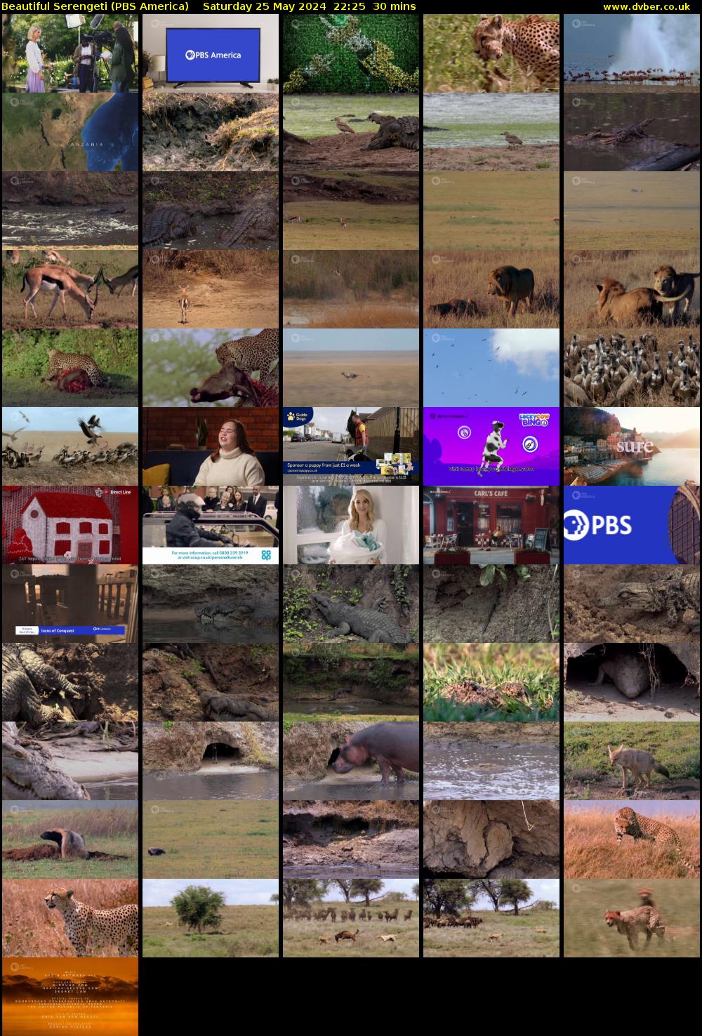 Beautiful Serengeti (PBS America) Saturday 25 May 2024 22:25 - 22:55