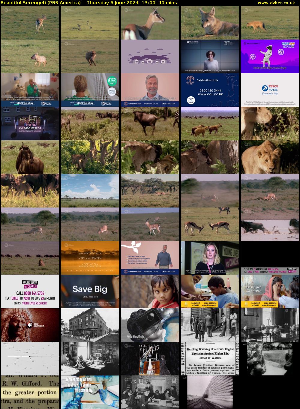Beautiful Serengeti (PBS America) Thursday 6 June 2024 13:00 - 13:40