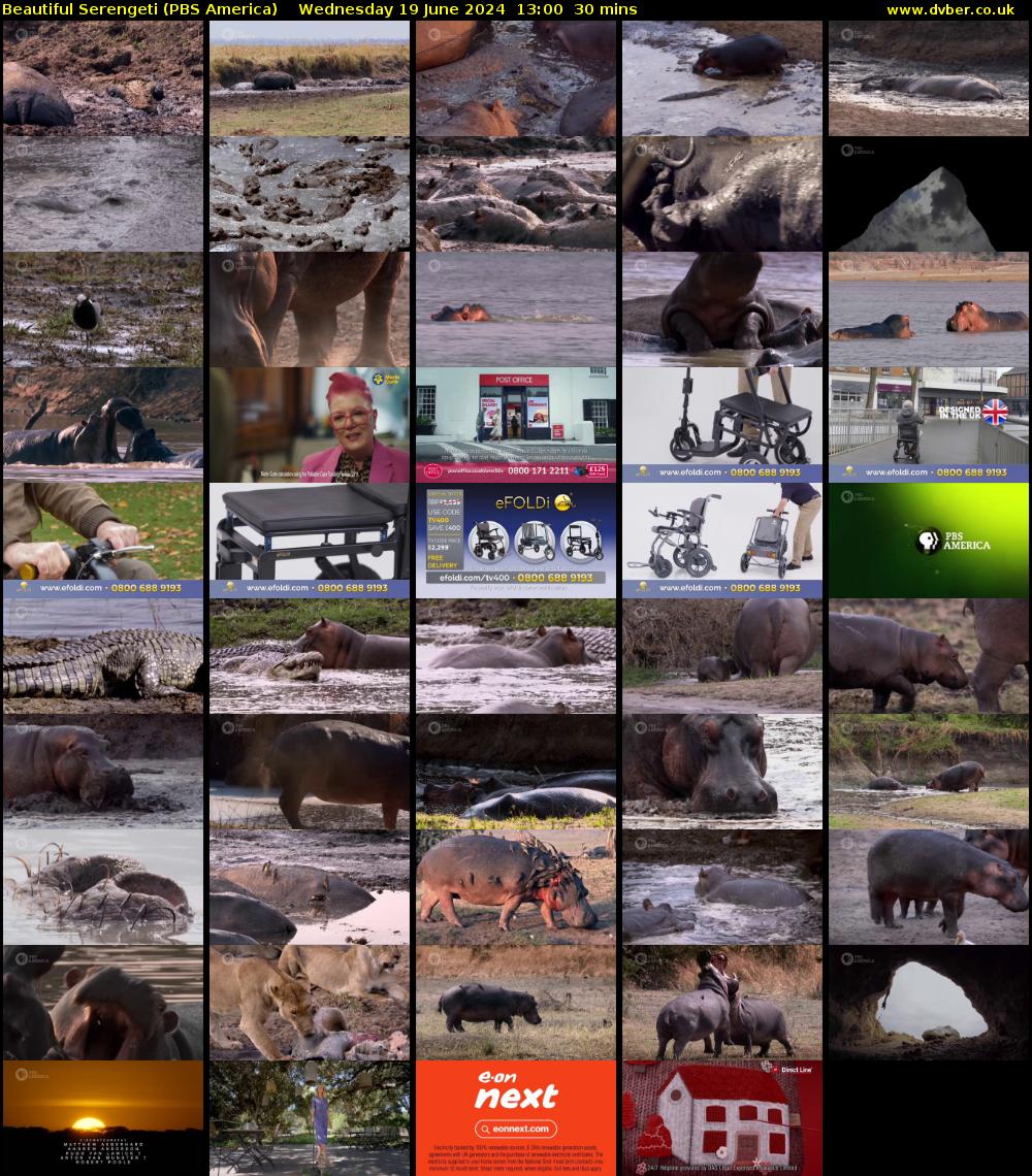 Beautiful Serengeti (PBS America) Wednesday 19 June 2024 13:00 - 13:30