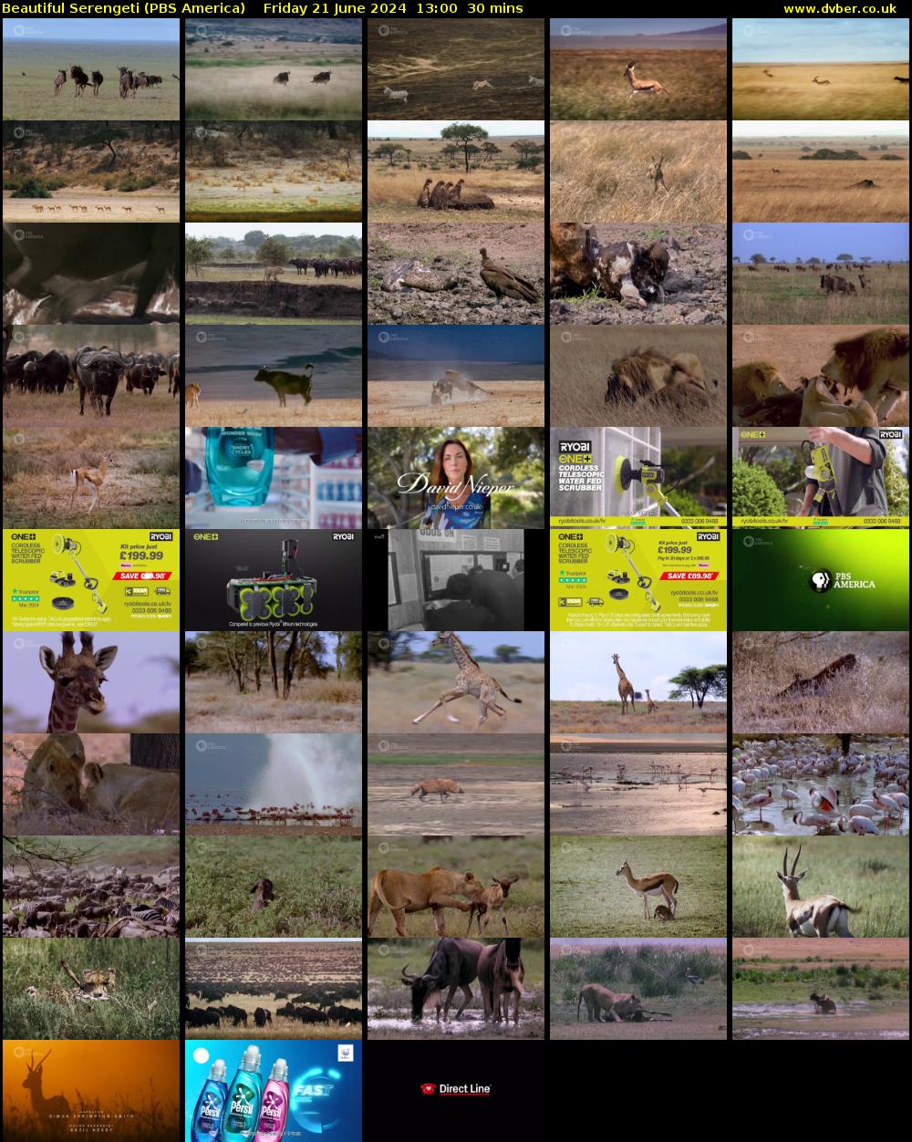 Beautiful Serengeti (PBS America) Friday 21 June 2024 13:00 - 13:30