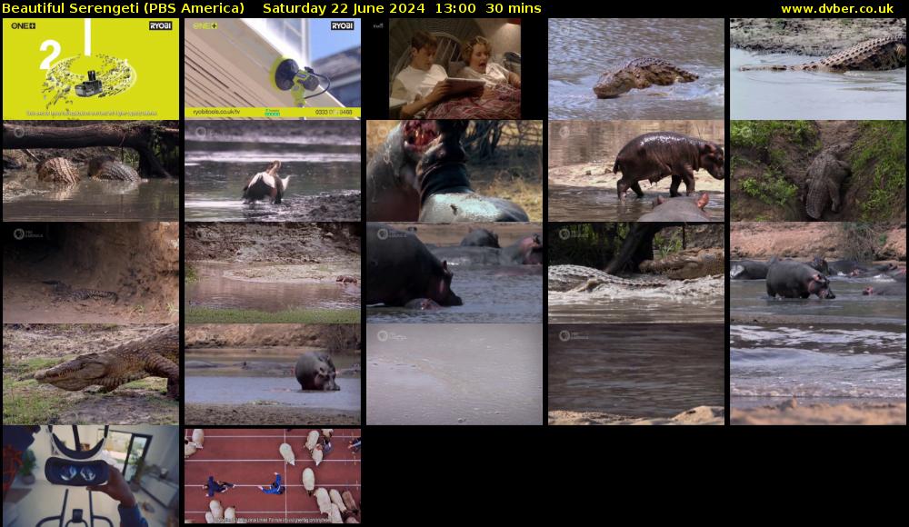 Beautiful Serengeti (PBS America) Saturday 22 June 2024 13:00 - 13:30