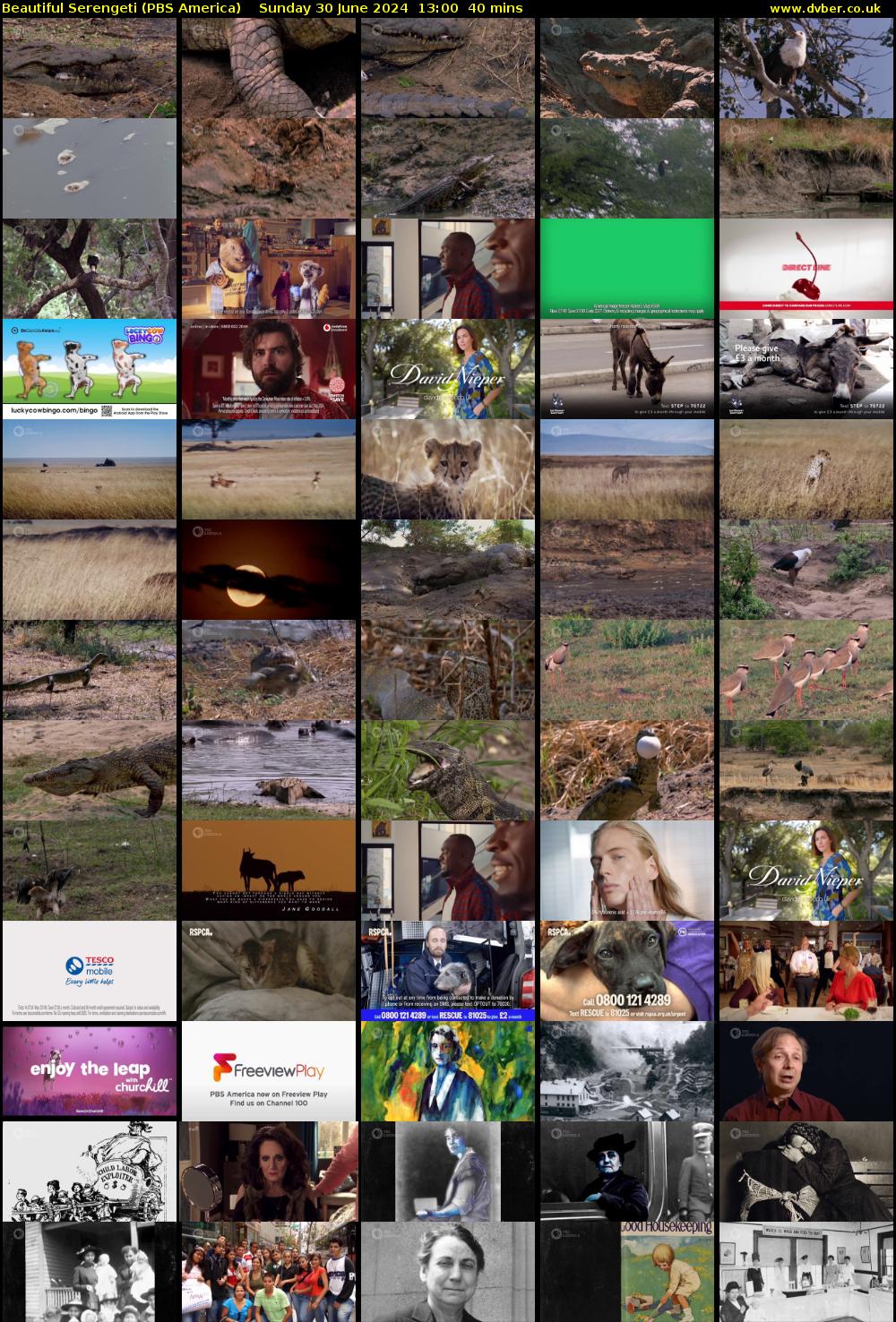 Beautiful Serengeti (PBS America) Sunday 30 June 2024 13:00 - 13:40