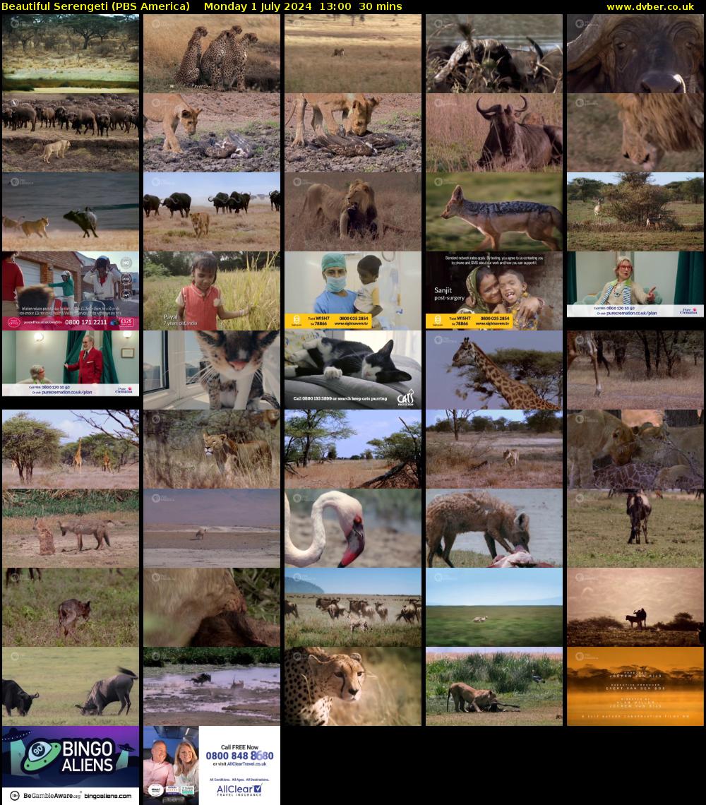 Beautiful Serengeti (PBS America) Monday 1 July 2024 13:00 - 13:30