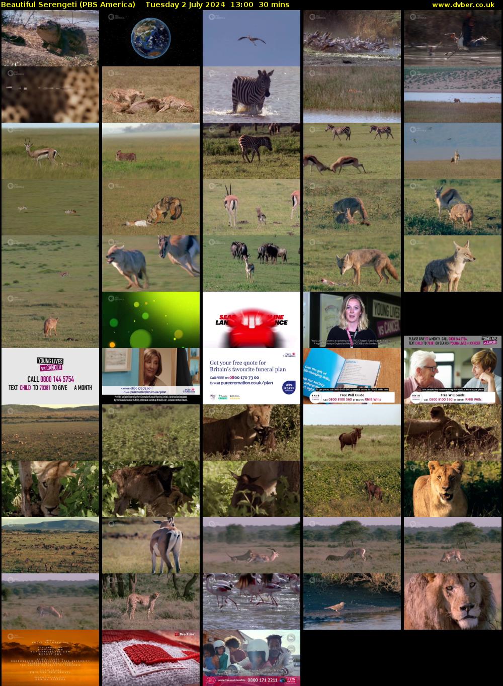Beautiful Serengeti (PBS America) Tuesday 2 July 2024 13:00 - 13:30
