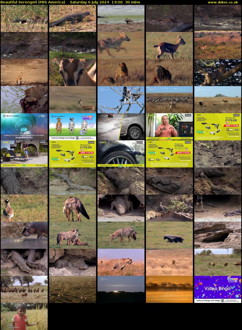 Beautiful Serengeti (PBS America) Saturday 6 July 2024 13:00 - 13:30