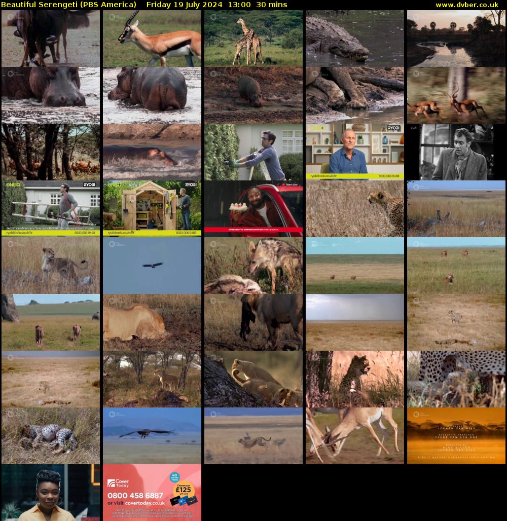Beautiful Serengeti (PBS America) Friday 19 July 2024 13:00 - 13:30