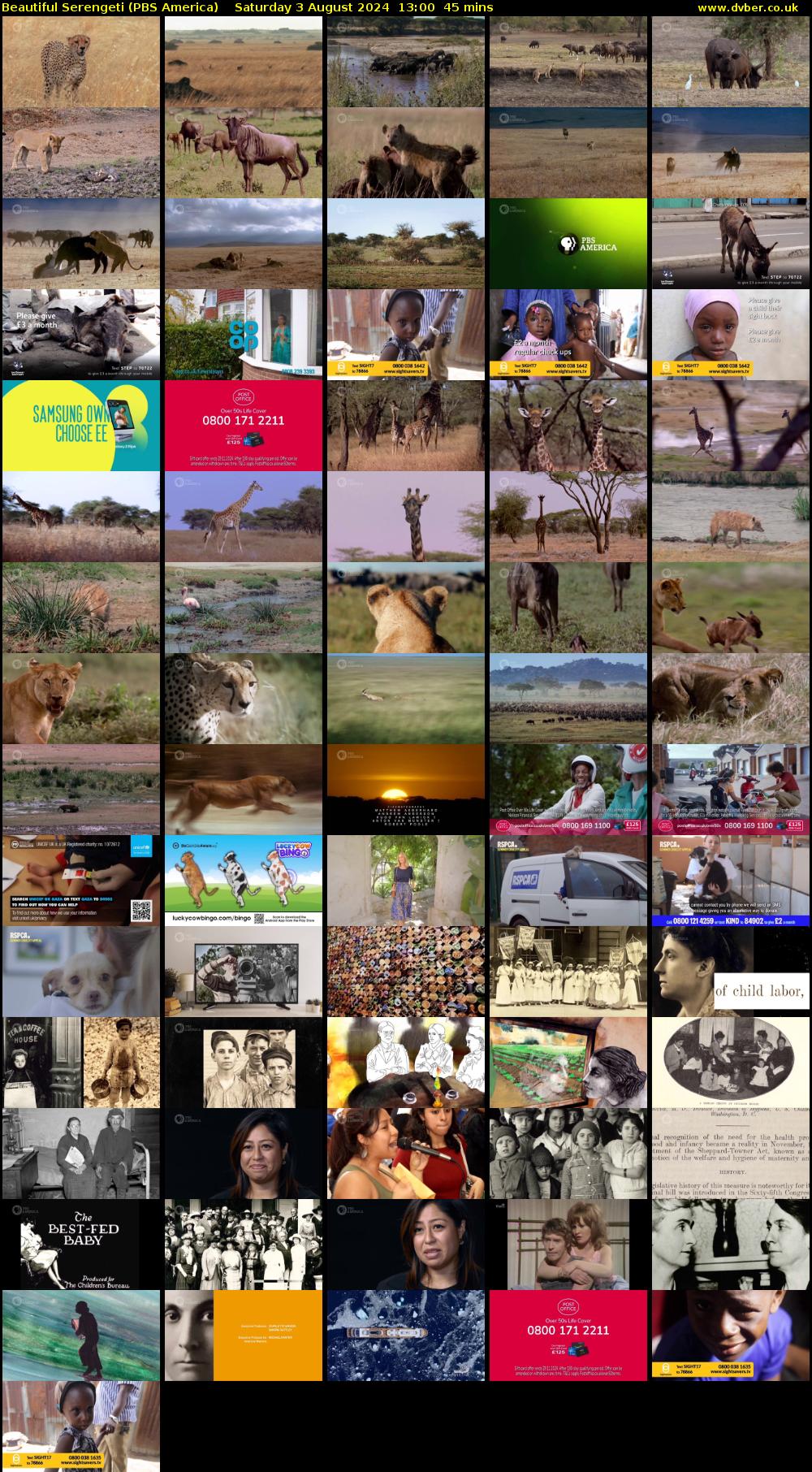 Beautiful Serengeti (PBS America) Saturday 3 August 2024 13:00 - 13:45