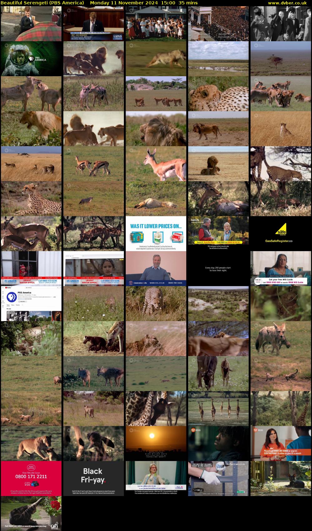 Beautiful Serengeti (PBS America) Monday 11 November 2024 15:00 - 15:35