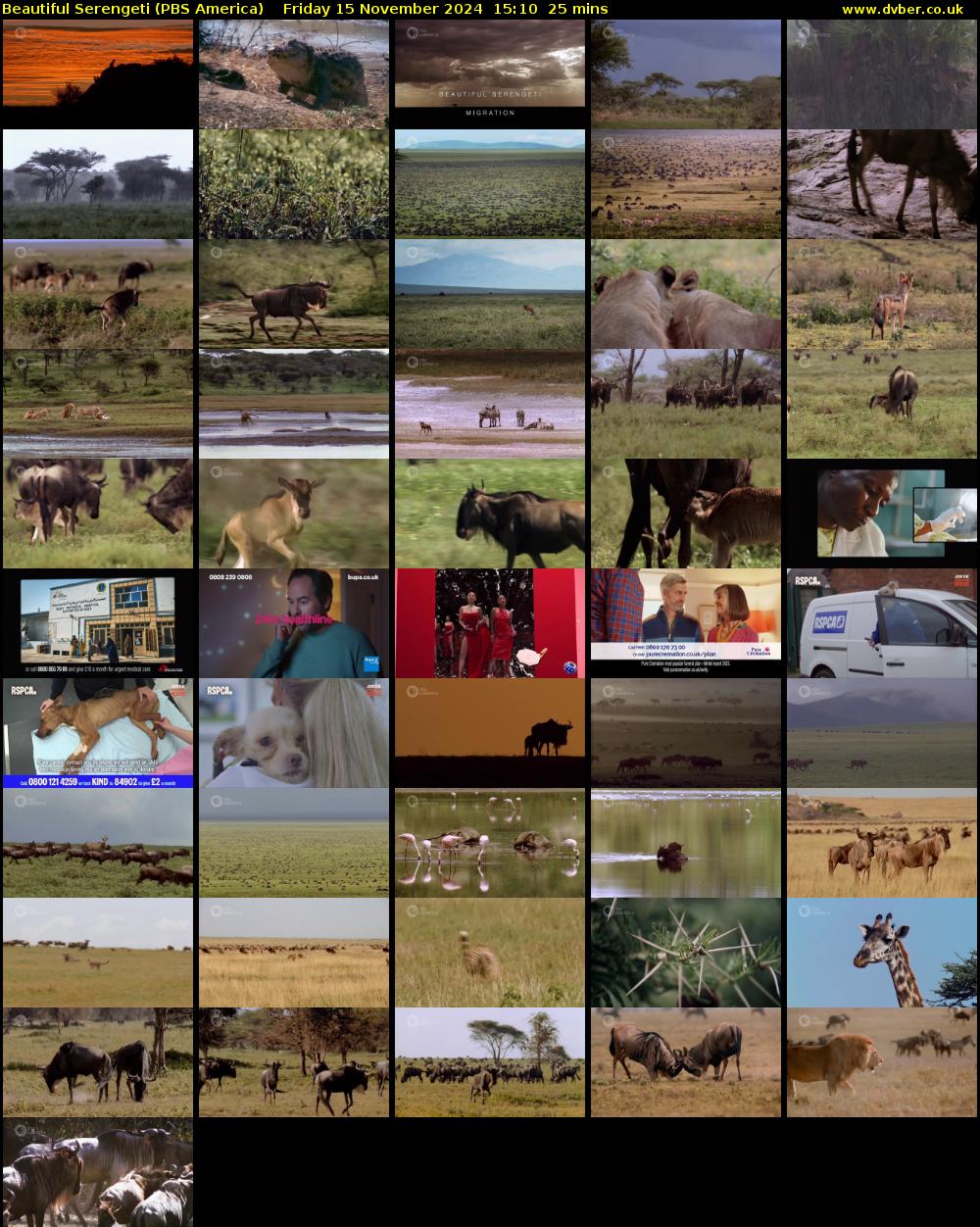 Beautiful Serengeti (PBS America) Friday 15 November 2024 15:10 - 15:35