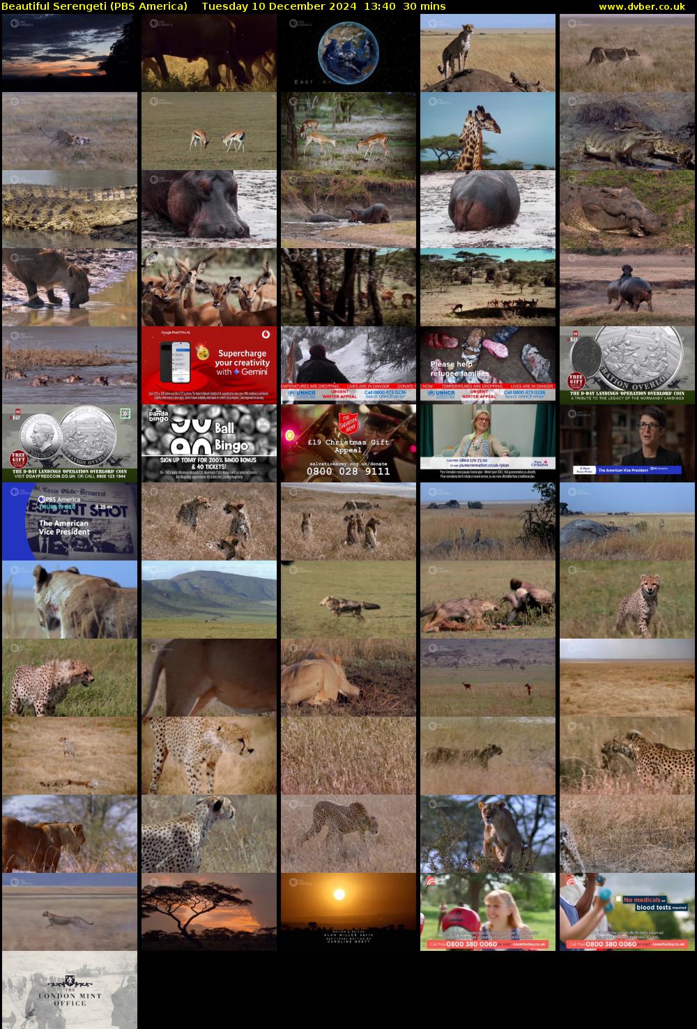 Beautiful Serengeti (PBS America) Tuesday 10 December 2024 13:40 - 14:10