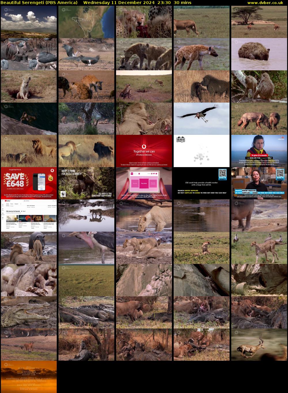 Beautiful Serengeti (PBS America) Wednesday 11 December 2024 23:30 - 00:00