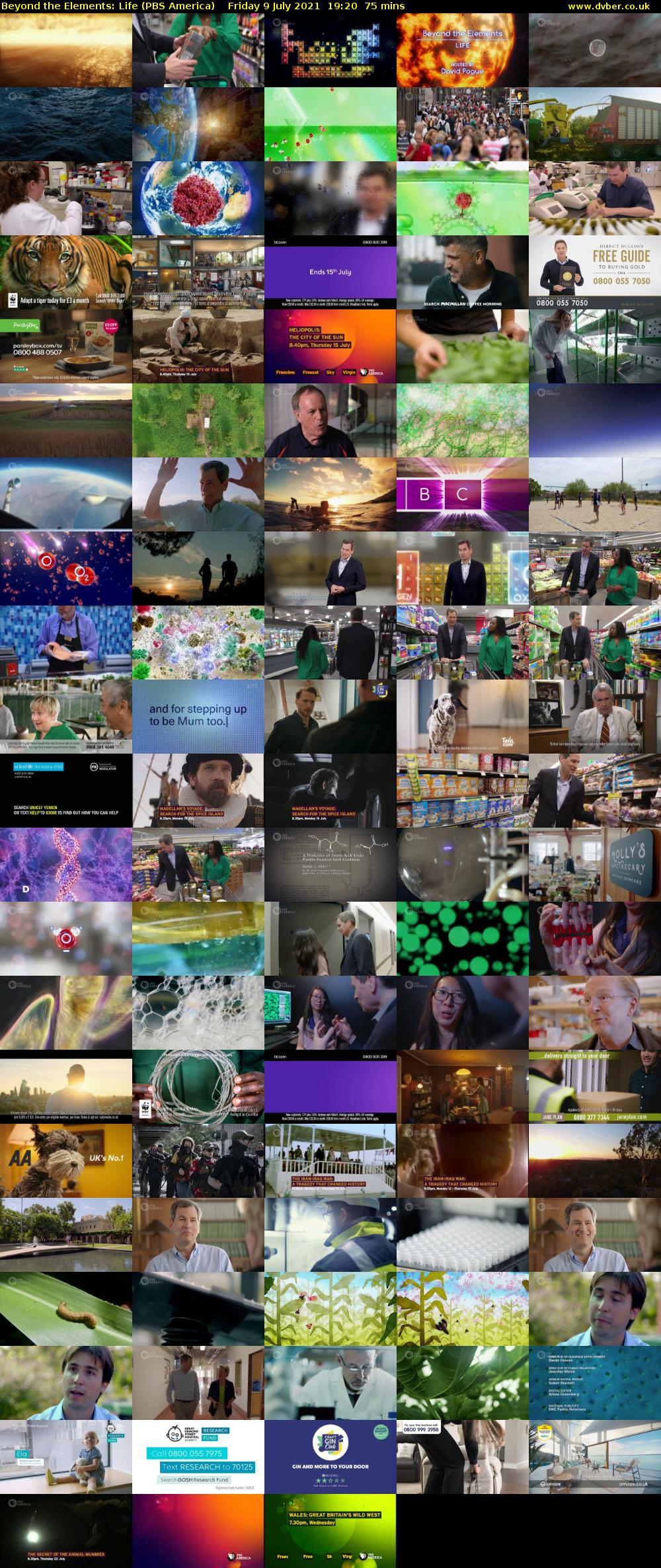 Beyond the Elements: Life (PBS America) Friday 9 July 2021 19:20 - 20:35