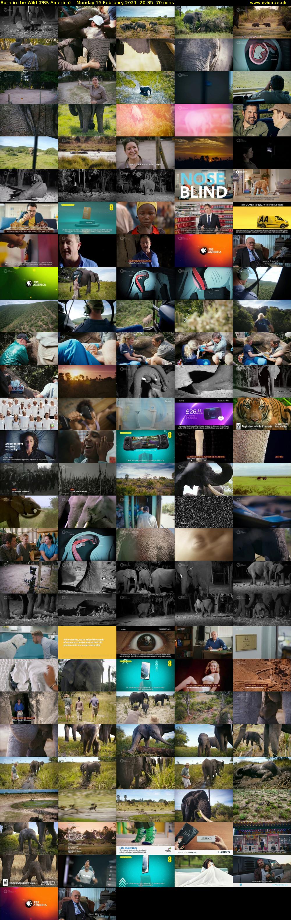 Born in the Wild (PBS America) Monday 15 February 2021 20:35 - 21:45