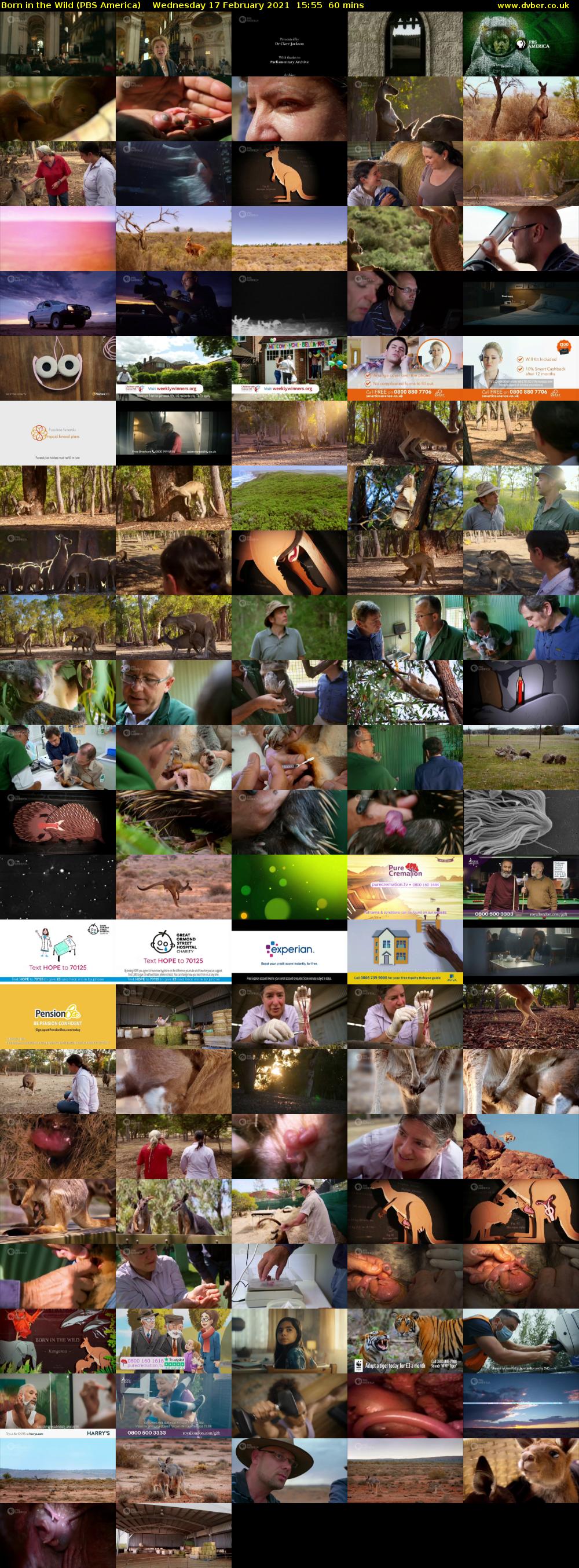Born in the Wild (PBS America) Wednesday 17 February 2021 15:55 - 16:55